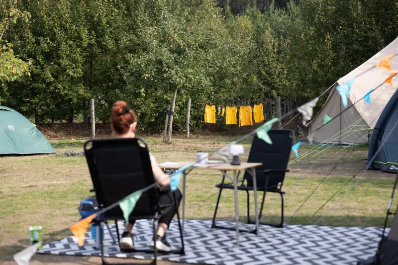 Easy Camp Galaxy 400 Steel Blue Tunneltent - 4 Personen - Afbeelding 6